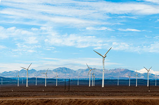 品種豐富，規(guī)格齊全